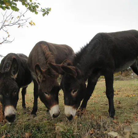 Rural Valtarranz 3* Noceco